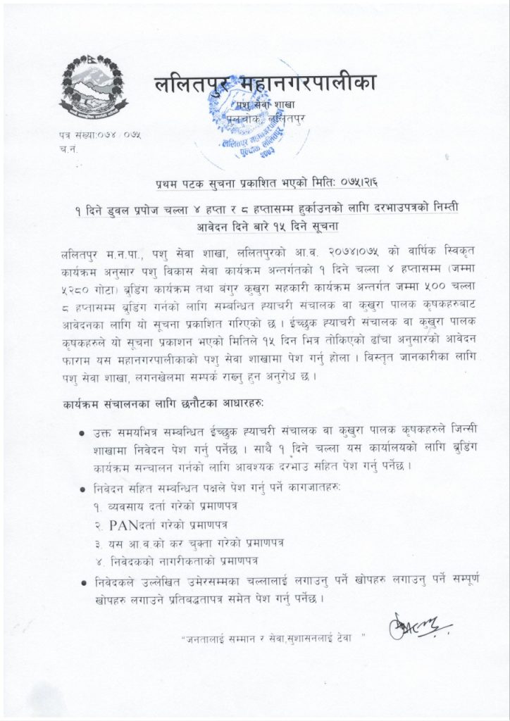 notice 6